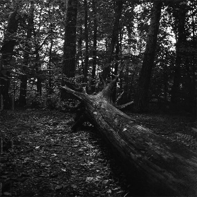 POLAND Photo 4