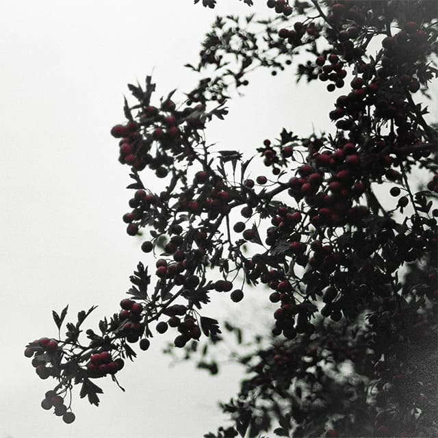 BELARUS Photo 9