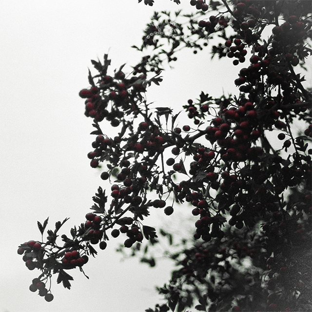 BELARUS Photo 9
