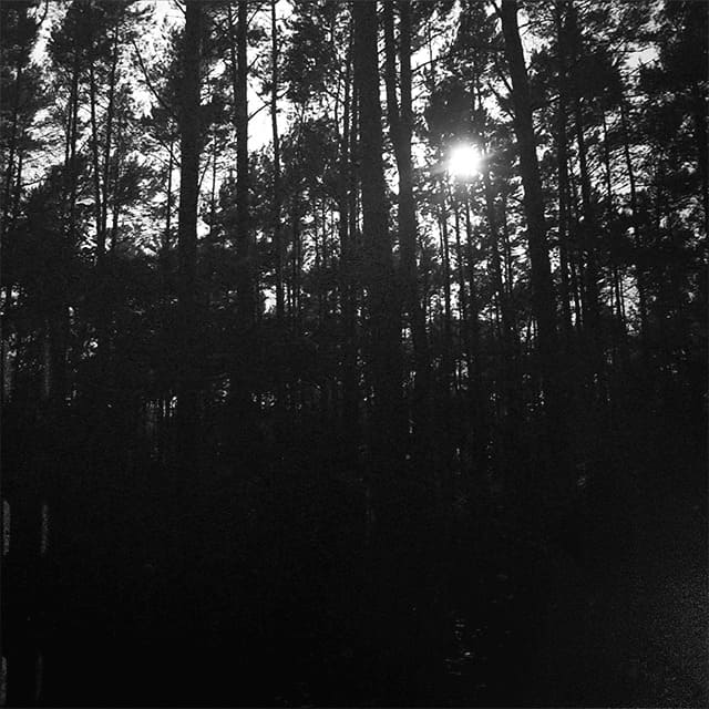 POLAND Photo 9